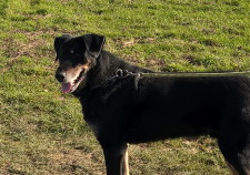 COOPER