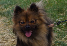 LOUNA