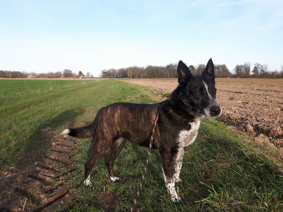 Nikita