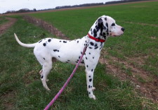 SNOOPY